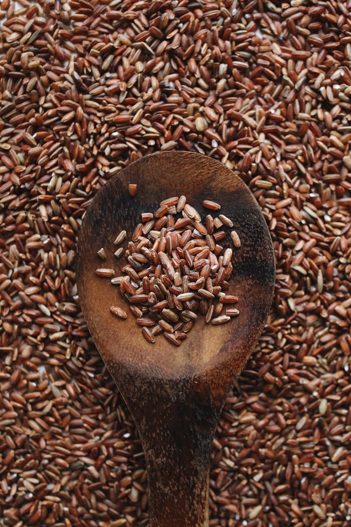gallery-03 Close-up of a wooden spoon filled with raw brown rice grains, ideal for food and nutrition concepts.