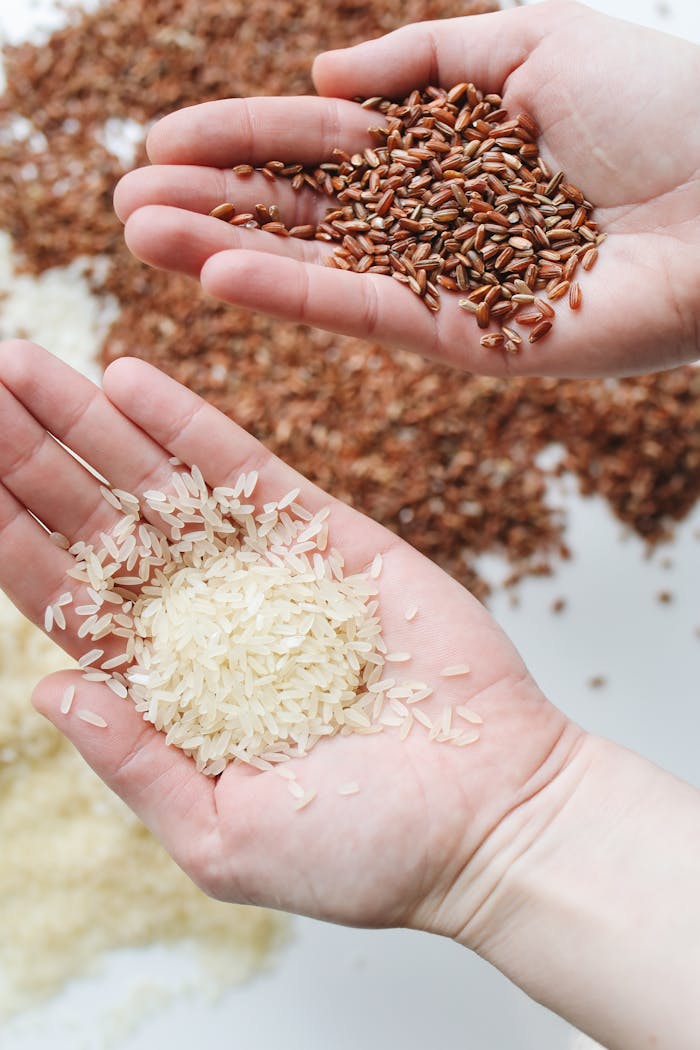 gallery-01 Hands holding red and white rice varieties, showcasing raw grains.